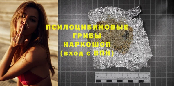 винт Абаза