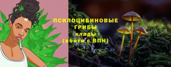 spice Абдулино