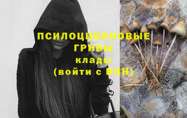 spice Абдулино