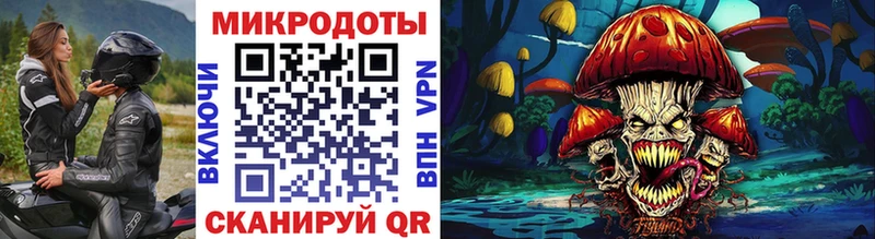 Псилоцибиновые грибы Psilocybine cubensis  Советск 