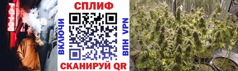 дарнет шоп Советск Марихуана VHQ